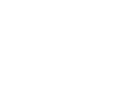 에이스노바 로고