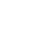 앨리캣 로고
