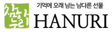 하누리(hanuri) 로고