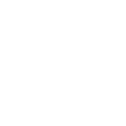 디엔아이이엔티(DNIE&T) 로고